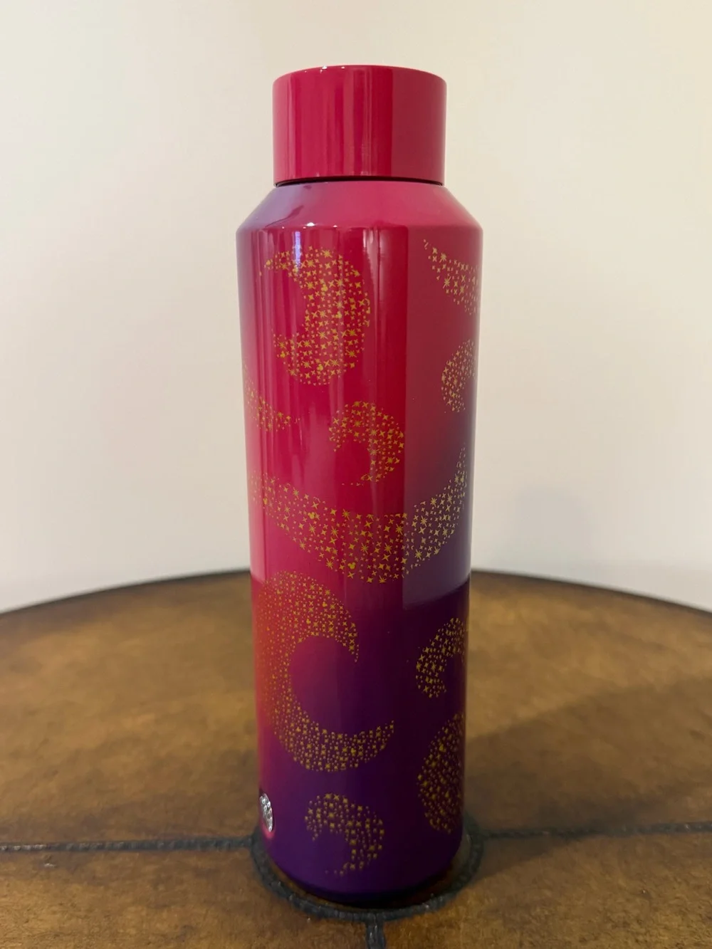 NEW STARBUCKS WALT DISNEY WORLD CINDERELLA CASTLE STAINLESS STEEL WATER BOTTLE